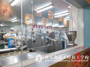西安食品工程學(xué)校2019級新生參觀御品軒文化工廠
