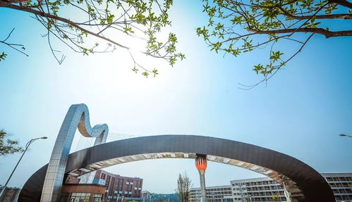 2020年繼續組織美術?？嫉脑盒Ｃ麊渭翱荚噧热?已更新21所